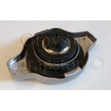 Radiator Cap